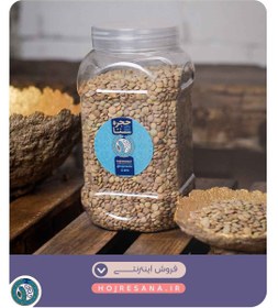 تصویر عدس ایرانی تمیز شده 