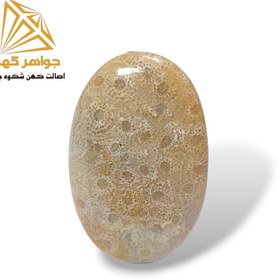 تصویر نگین فسیل مرجان (کد ۲) 
