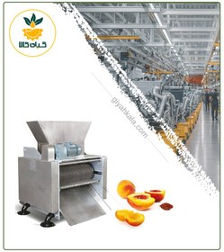 تصویر دستگاه هسته گیر میوه 