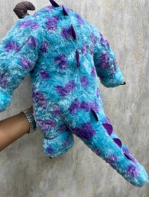 تصویر سالیوان 