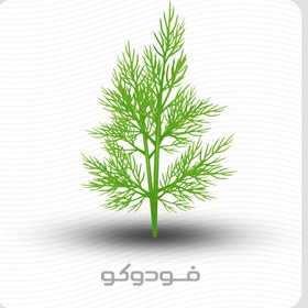 تصویر طعم دهنده شوید مایع Liquid dill flavoring