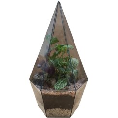 تصویر تراریوم الماس 