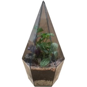 تصویر تراریوم الماس 