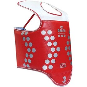 تصویر هوگو تکواندو طرح الکترونیکی دورویه - 3 