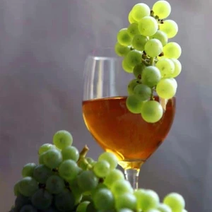 تصویر فروشگاه بهتن سلامت