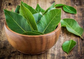 تصویر برگ بو - پاکت پلاستیک / 200g / برگ خشک لوکس Bay Leaf