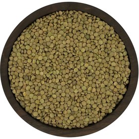 تصویر عدس ریز 