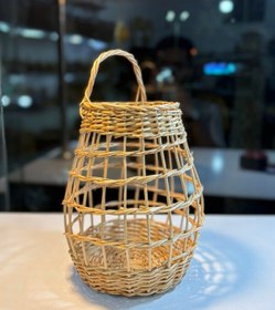 تصویر جای گردوی حصیری 