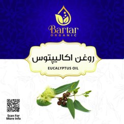 تصویر روغن اکالیپتوس 