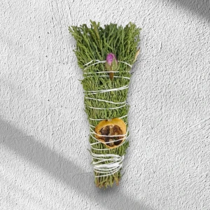 تصویر فروشگاه چاکراوال