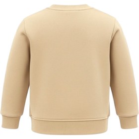 تصویر ست سویشرت آستین بلند و شلوار راحتی پسرانه مدل مارمولک PJ1389 