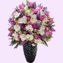 تصویر جام گل ژورنالی 