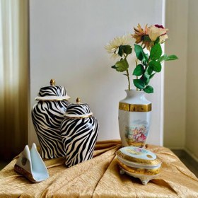 تصویر جینجر جار زبرا 