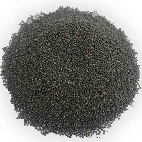 تصویر تخم خرفه 