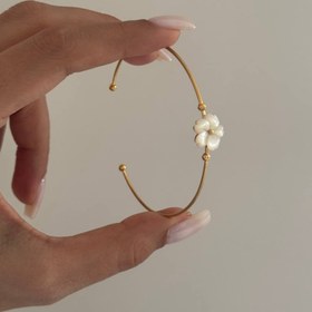 تصویر کالکشن : صدف طبیعی SEASHELL