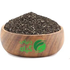 تصویر دانه چیا 