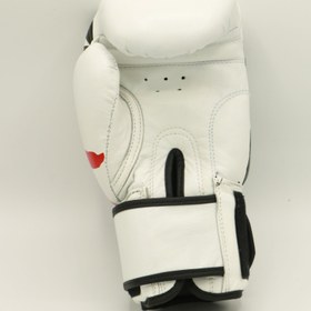 تصویر دستکش بوکس چرم FORTEX چسبی