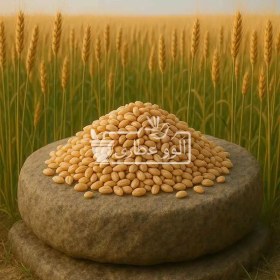 تصویر گندم پوست کنده اعلا 