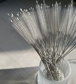 تصویر نی شور تک 