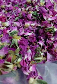 تصویر پرگل محمدی - ۱۰۰گرمی 