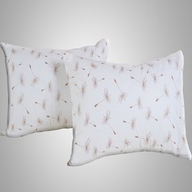 تصویر روبالشتی طرح قاصدک بژ 