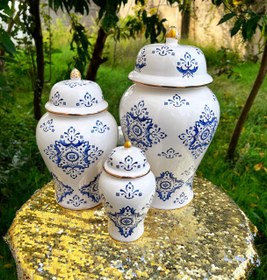 تصویر جینیجر جار 