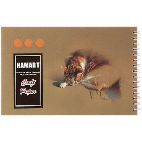 تصویر دفتر طراحی سیمی 40 برگ همیشه مدل Hamart طرح Craft Paper کد 8875 