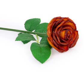 تصویر آلو خشک 