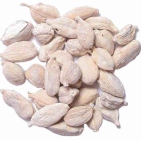 تصویر گیاه دارویی هل سفید ۱۰۰ گرمی 