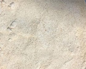 تصویر پودر پیاز ۱۰۰ گرمی 