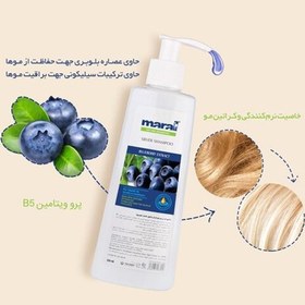 تصویر شامپو سیلور حاوی عصاره بلوبری ضد زردی مو 200 میل مارال Maral Silver Shampoo