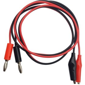 تصویر پراب تغذیه 