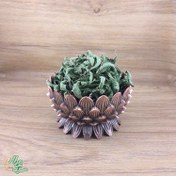 تصویر برگ به لیمو سید عطار 