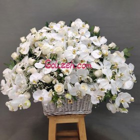 تصویر سبد گل ارکیده 