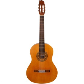 تصویر گیتار آدور مدل A20 