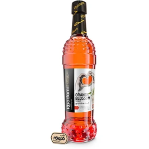 تصویر فروشگاه خشکبار نمونه