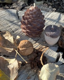 تصویر شمع همستر 