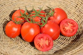 تصویر بذر گوجه فرنگی بریویو سمینیس شرکت فلات Brivio Hybrid Tomato Seeds