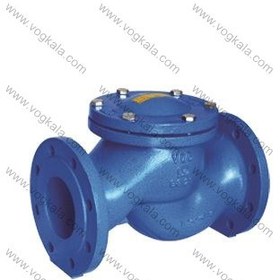 تصویر صافی بسکتی وگ ایران 