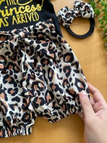 تصویر سه تکه پلنگی 