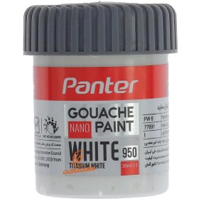 تصویر گواش 30 میل تک رنگ پنتر PANTER گواش پنتر PANTER