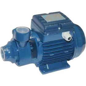 تصویر پمپ نیم اسب مدل tp45 برند CNB 