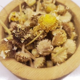 تصویر بابونه گاوی 