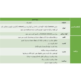 تصویر دمنوش زیره سبز Cumin
