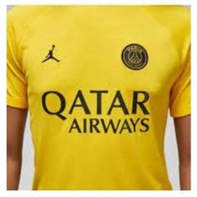 تصویر خرید اینترنتی تیشرت آستین کوتاه مردانه زرد نایک DR4906 720 JORDAN PARİS SAİNT GERMAİN JERSEY ACADEMY PRO DR4906 720