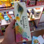تصویر آبرنگ 12 رنگ آقا میری حرفه ای 