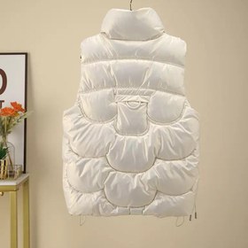 تصویر پافر سااه 