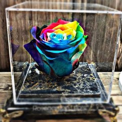 تصویر گل رز جاودان با باکس سنگ مرمر | در 15 رنگ | کادو ولنتاین 