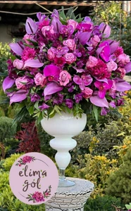 تصویر فروشگاه گل و گیاه فلوریکا