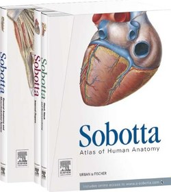 تصویر sobotta atlas of anatomy 